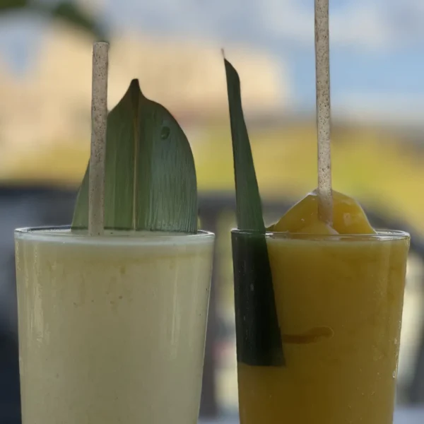 Rafa Nadal Akademija Teniso stovykla Padelio stovykla Maljorka Aktyvios Tenisininko atostogos Teniso stovyklos vaikams Teniso stovyklos suaugusiems Dovana teniso fanui