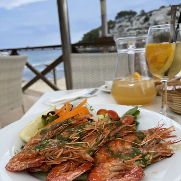 Rafa Nadal Akademija Teniso stovykla Padelio stovykla Maljorka Aktyvios Tenisininko atostogos Teniso stovyklos vaikams Teniso stovyklos suaugusiems Dovana teniso fanui